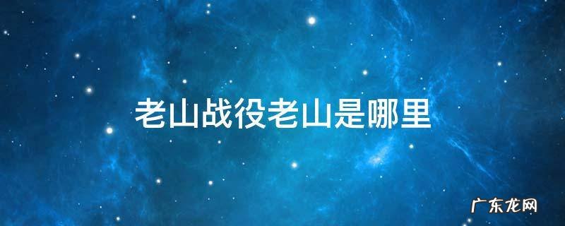 老山战役老山是哪里 老山战役怎么回事