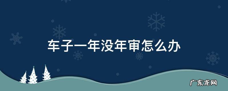 车子有一年没有年审 车子一年没年审怎么办