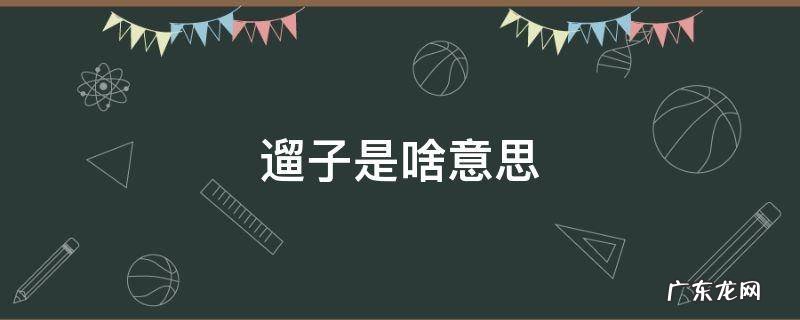 遛子是啥意思 溜溜是什么
