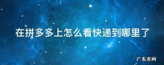在拼多多上怎么看快递到哪里了 怎么在拼多多查看快递到哪了
