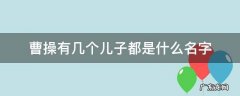 曹操的儿子叫什么名字有几个 曹操有几个儿子都是什么名字