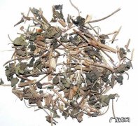 中药天仙藤的功效与作用