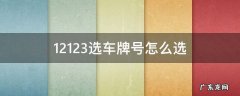 12123选车牌号怎么选视频 12123选车牌号怎么选