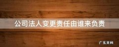 公司法人变更期间谁负责 公司法人变更责任由谁来负责