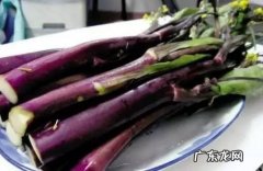 红菜苔的做法和营养价值