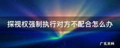 探视权强制执行对方不配合怎么办 探视权强制执行对方不配合怎么办可以拘留吗