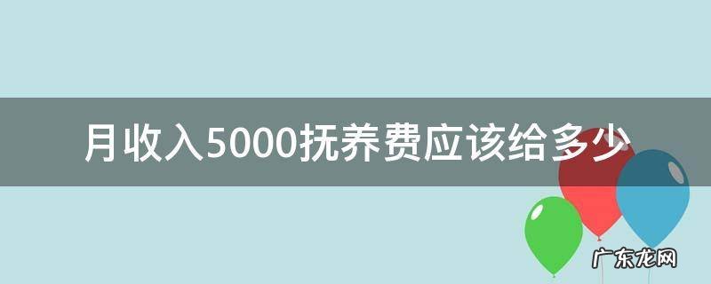 月收入5000抚养费多少怎么算 月收入5000抚养费应该给多少