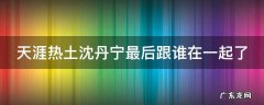 天涯热土沈丹宁最后跟谁在一起了 天涯热土丹宁最后和谁在一起了