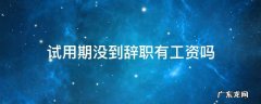 试用期没过自己提出辞职有工资吗 试用期没到辞职有工资吗