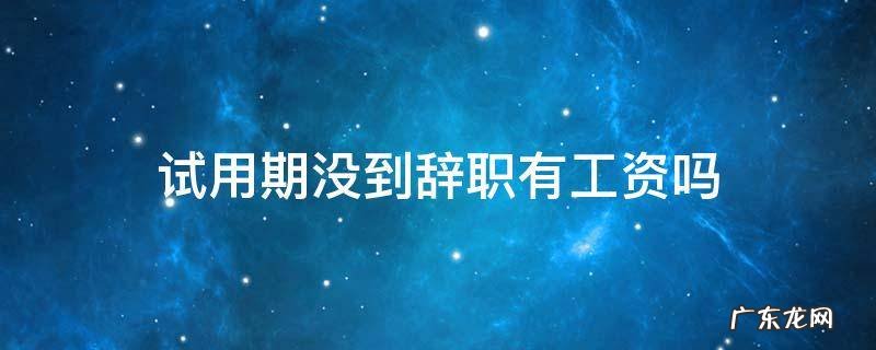 试用期没过自己提出辞职有工资吗 试用期没到辞职有工资吗