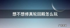 想不想修真轮回殿怎么玩收益高 想不想修真轮回殿怎么玩
