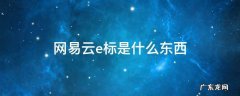网易云e标是什么东西 网易云e标