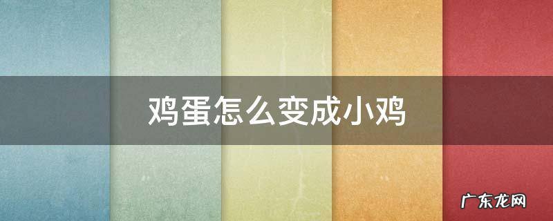 鸡蛋怎么变成小鸡 鸡蛋怎么变成小鸡的视频