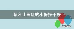 怎么能让鱼缸水干净 怎么让鱼缸的水保持干净