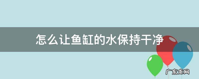 怎么能让鱼缸水干净 怎么让鱼缸的水保持干净