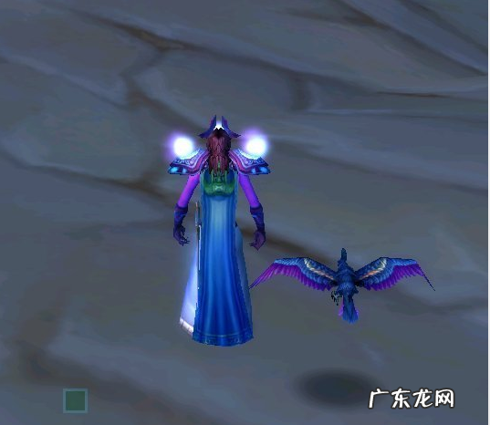 鹦鹉咋花 花羽鹦鹉掉落怎么回事