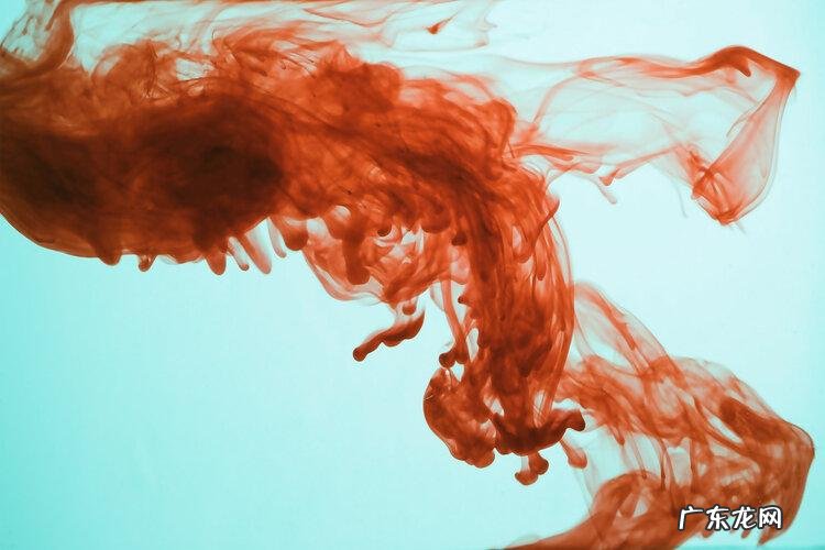 拉粑粑有血丝是怎么回事