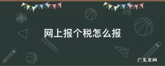 网上报个税怎么报 如何进行网上个税申报