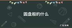 圆盘般的什么东西 圆盘般的什么