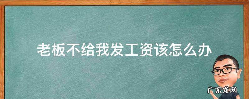 老板不给我发工资该怎么办 公司老板不给发工资该怎么办