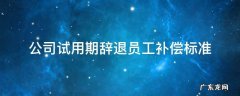 公司试用期辞退员工补偿标准2021怎么算 公司试用期辞退员工补偿标准
