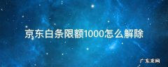 京东白条限额1000怎么解除 京东白条限额500怎么解除