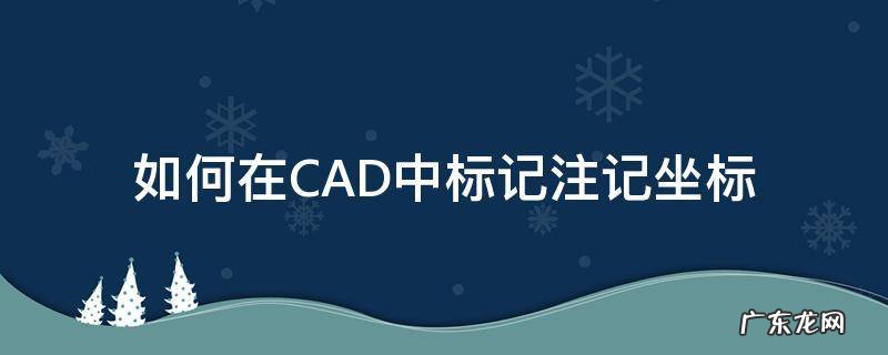 cad如何使用坐标标注 如何在CAD中标记注记坐标