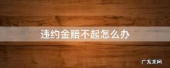 违约金赔不起怎么办 违约金赔偿不起怎么办