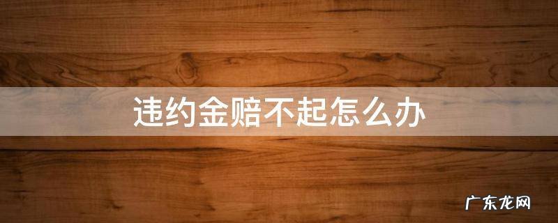 违约金赔不起怎么办 违约金赔偿不起怎么办
