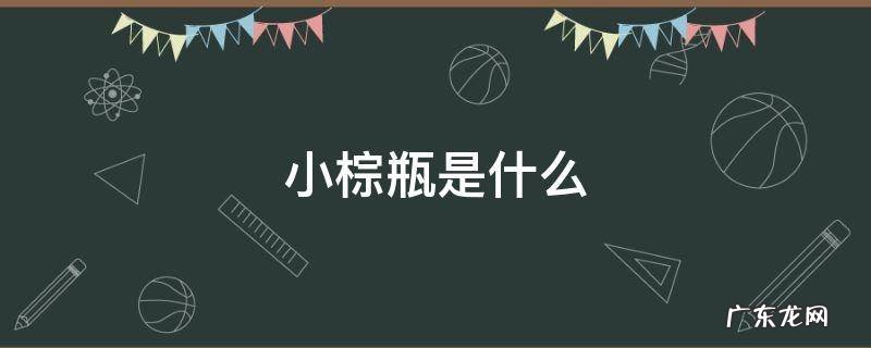 小棕瓶是什么牌子 小棕瓶是什么