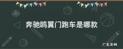 奔驰鸥翼门跑车是哪款车型 奔驰鸥翼门跑车是哪款