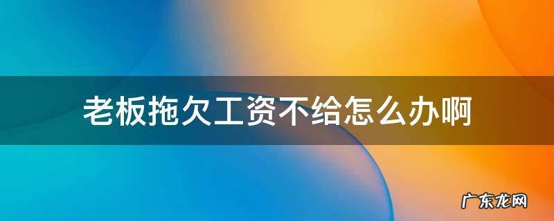 老板拖欠工资不给怎么办啊
