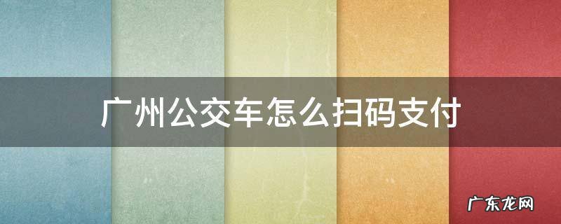 广州公交车怎么扫码支付 广州公交车怎么扫码支付视频