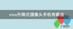 vivo升降式摄像头手机有哪些 vivo有哪些升降式摄像头的手机