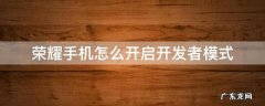 荣耀手机怎么进去开发者模式 荣耀手机怎么开启开发者模式