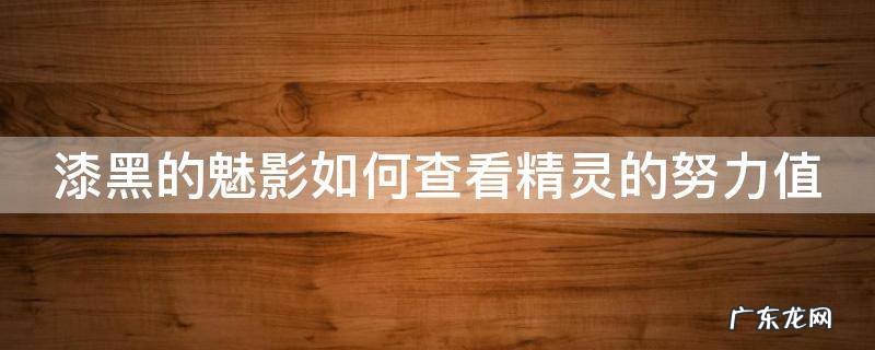 漆黑的魅影如何查看精灵的努力值 漆黑的魅影精灵努力值怎么看