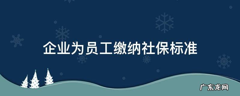企业为员工缴纳社保标准最新标准的法律依据 企业为员工缴纳社保标准