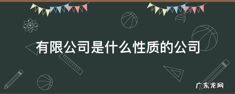 责任有限公司是什么性质的公司 有限公司是什么性质的公司