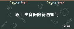 职工生育保险待遇如何 职工生育保险期间的生育保险待遇