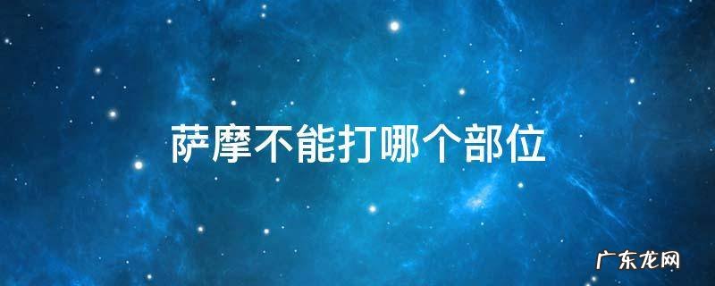 萨摩注意什么 萨摩不能打哪个部位