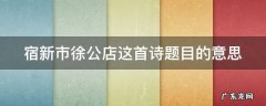 宿新市徐公店这首诗题目的意思 宿新市徐公店这首诗的诗题是什么意思