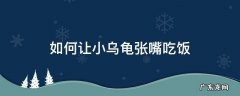 如何让小乌龟张嘴吃饭 怎么样才能让小乌龟张嘴巴吃饭