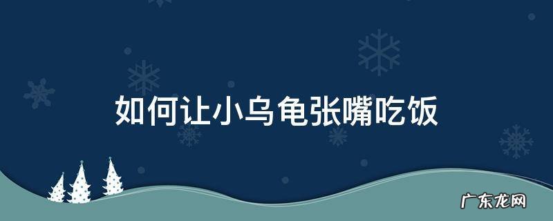 如何让小乌龟张嘴吃饭 怎么样才能让小乌龟张嘴巴吃饭