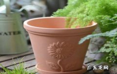 寓意不好 花盆为什么不能送人
