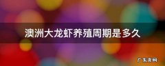 澳洲大龙虾养殖周期是多久 澳洲龙虾养殖周期多长时间