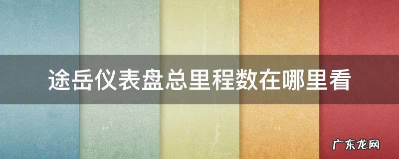 途岳仪表盘总里程数在哪里看 途岳仪表盘怎么看油耗