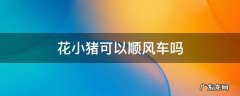 花小猪支持顺风车吗 花小猪可以顺风车吗