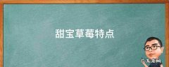 甜宝草莓和牛奶草莓 甜宝草莓特点