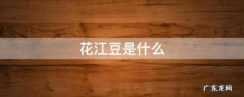 花江豆是什么做的 花江豆是什么