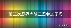 第三次忍界大战 第三次忍界大战三忍参加了吗